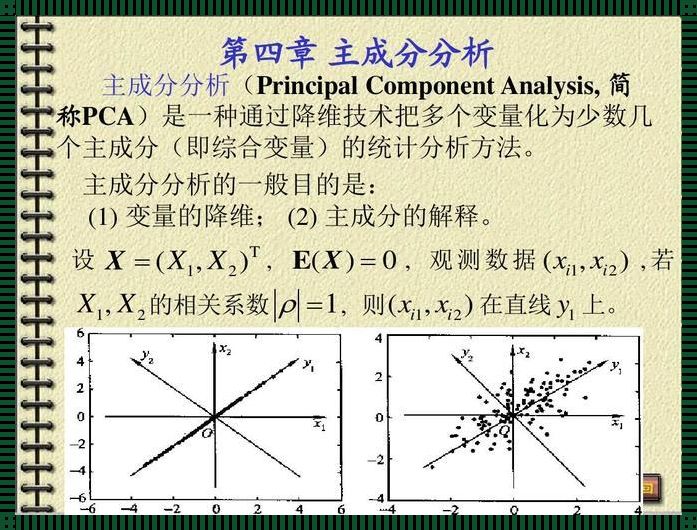 主成分分析例题详解(什么是主成分分析)