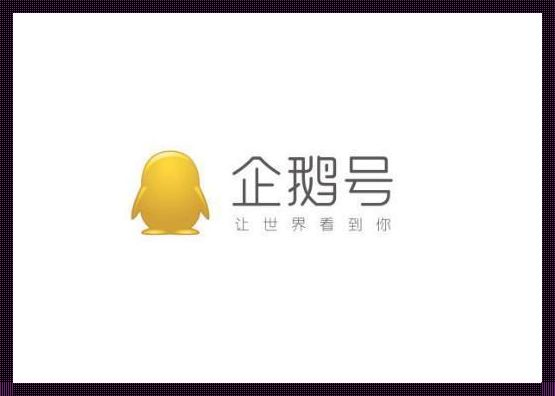 企鹅号电脑版登录《企鹅账号还需要去om.qq.com认证什么意思?》