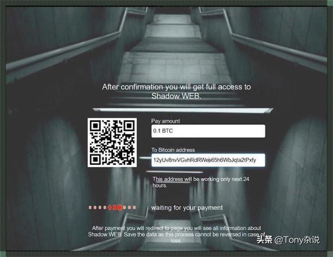 shadowweb进入教程 怎么进shadow web