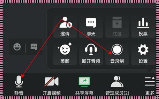 手机腾讯会议怎么录屏有声音-腾讯会议怎么有声录屏