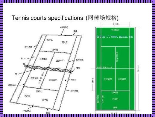 网球场地介绍（网球场地有哪几种类型）
