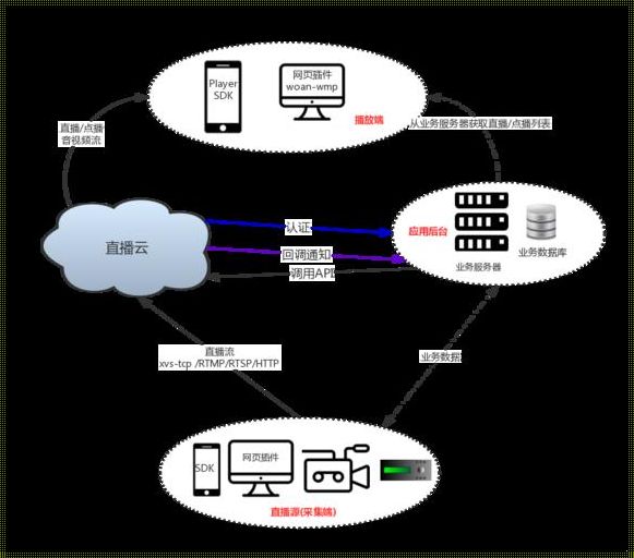 视频api（抖音API,item_get_video）