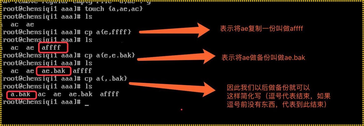 linux通配符（运用LINUX的ls通配符中括号的具体方法）