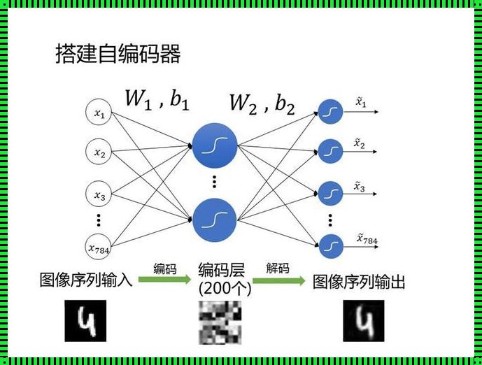 探索自编码器的奥秘