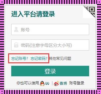 “找回你官网查询入口”：一场视觉与科技的盛宴