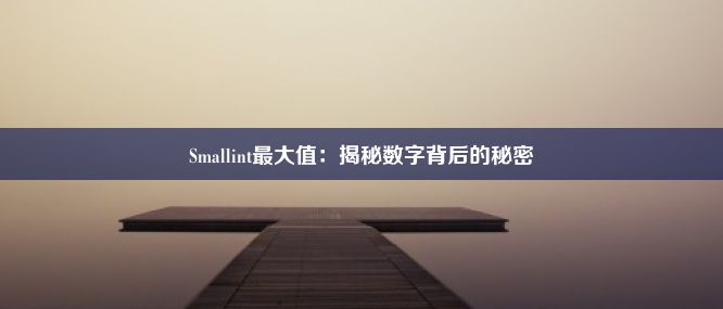 Smallint最大值：揭秘数字背后的秘密