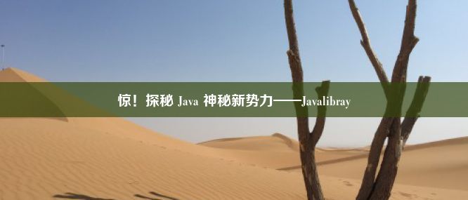 惊！探秘 Java 神秘新势力——Javalibray