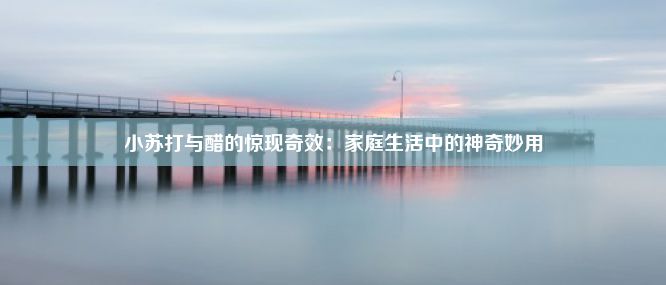 小苏打与醋的惊现奇效：家庭生活中的神奇妙用