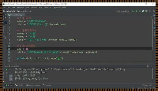 Python 中 Format 的用法：惊现魅力无限