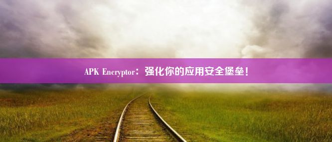 APK Encryptor：强化你的应用安全堡垒！