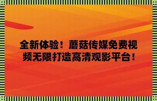 权力和智慧的交织：777555 曾夫人今天开奖 777555 现象解析