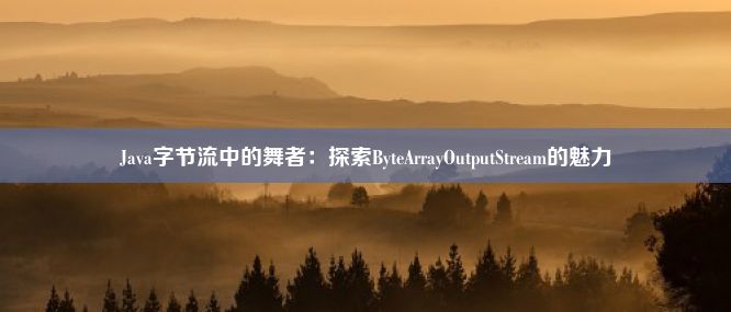 Java字节流中的舞者：探索ByteArrayOutputStream的魅力