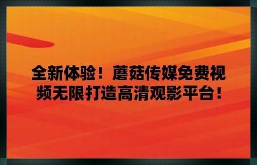 812777 曾夫人论坛数据分析：惊现网络密码之谜