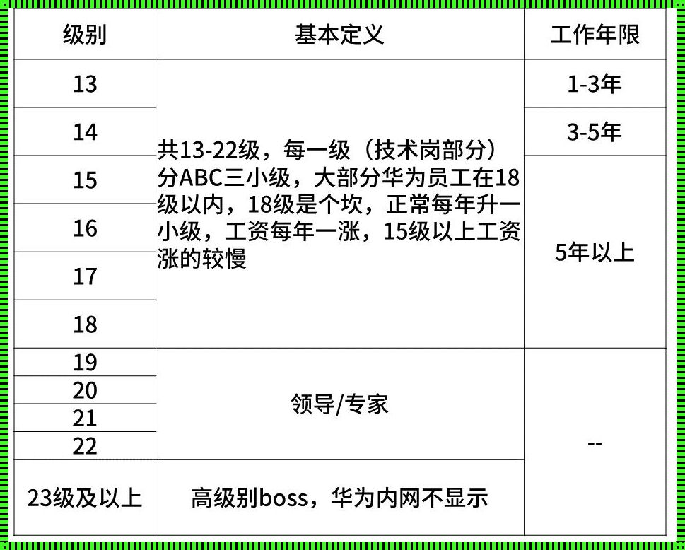 “P10 工资多少？”探寻职场人生规划的关键一步