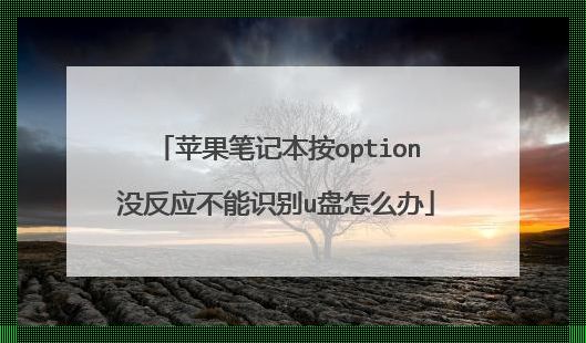 长按Option键无法识别U盘启动的秘密