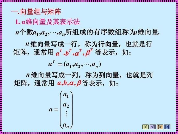 探秘数学奥秘：论 n+1 个 n 维向量的线性相关性