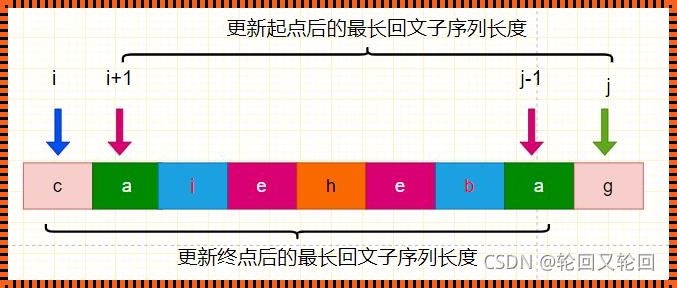 回文之最：探索最长回文子串的奥秘