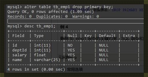 惊现！MySQL 主键的奥秘