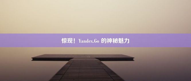 惊现！Yandex.Go 的神秘魅力