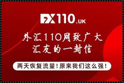 外汇 110 官网真相揭秘，影响一触即发