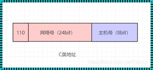 零与一的奥秘：网络地址中的哲学思考