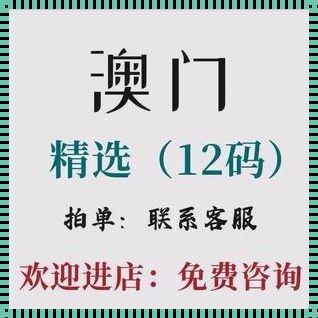 探寻澳门最快最准的资料大全：一场智慧与速度的盛宴