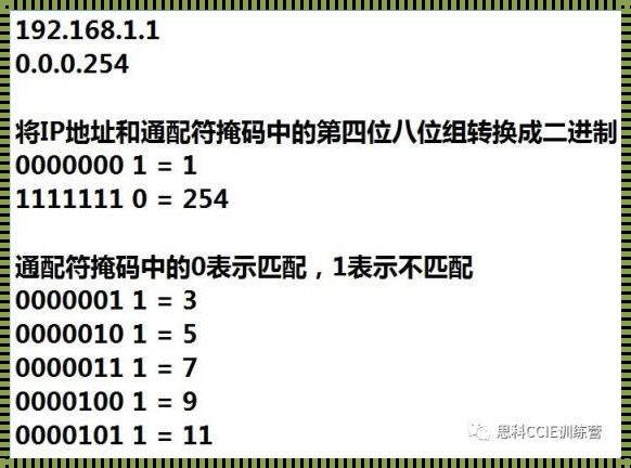 通配符掩码与反掩码：揭秘网络安全中的双面镜