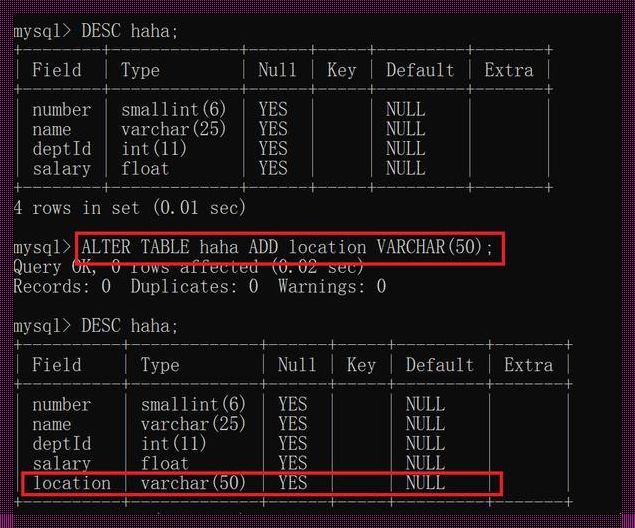 修改表名：探索 MySQL 的奥秘