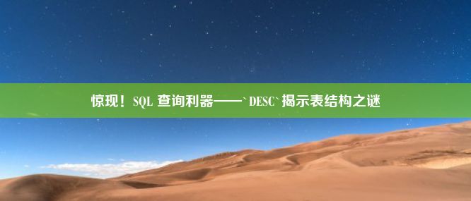 惊现！SQL 查询利器——`DESC`揭示表结构之谜