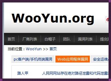 wooyun 镜像网站：一旦了解，你会爱上它！