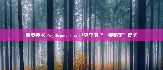 翻页神器 PageHelper，Java 世界里的“一键翻页”良驹