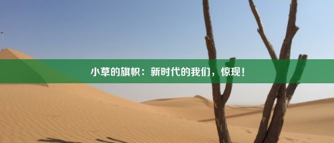 小草的旗帜：新时代的我们，惊现！