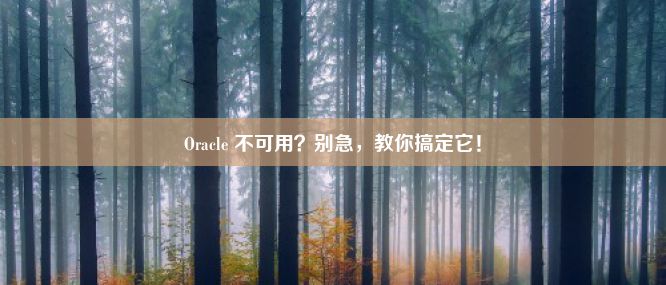 Oracle 不可用？别急，教你搞定它！