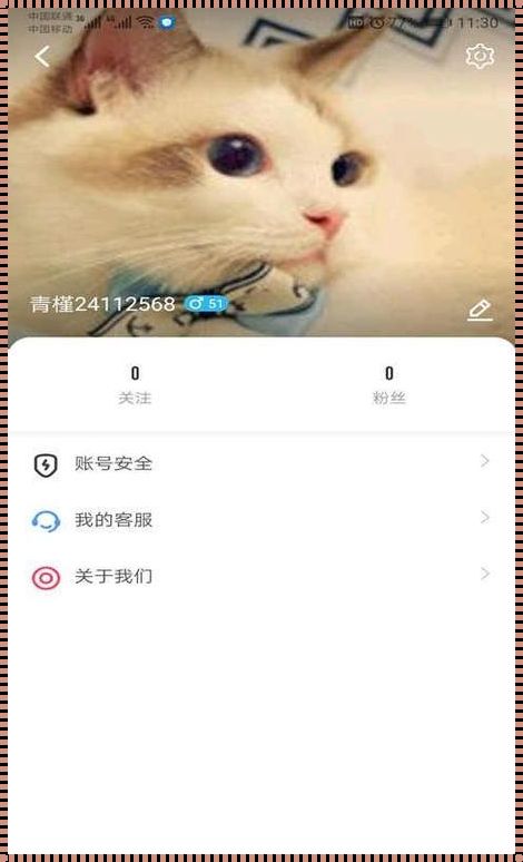 衡阳市文化发展规划探析——走进 iOS 端的“葫芦娃”官网 APP 下载入口