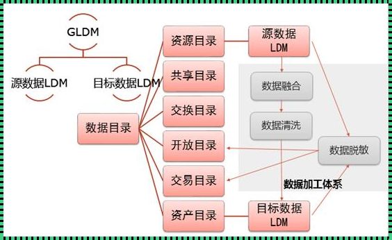 数据模型四大宝，掌握在手，辟谣无忧！