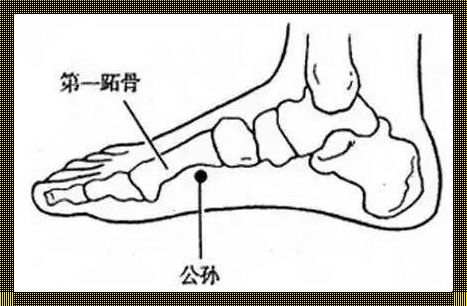 揭秘止吐的准确位置图——你的健康指南