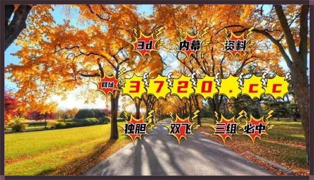 3D 高手秘诀：轻松成为妙招大师