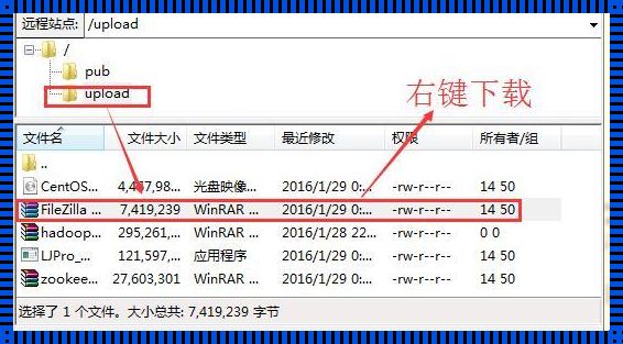 FTP 常用指令：掌握操控网上空间的关键秘籍