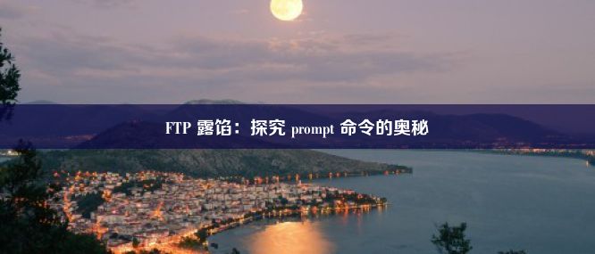 FTP 露馅：探究 prompt 命令的奥秘