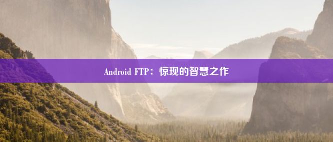 Android FTP：惊现的智慧之作