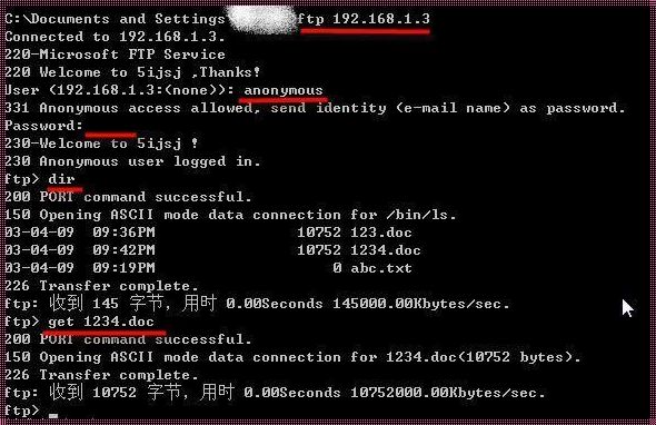 FTP 服务器查看文件命令探秘