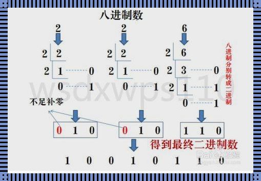 八进制数的秘密探秘