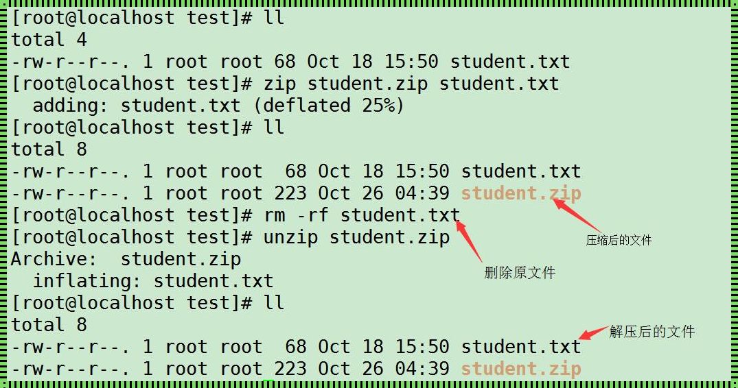 压缩命令 zip，惊现时代新潮流