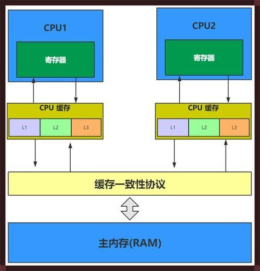 CPU 能直接访问内存储器：探索科技奥秘