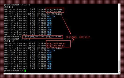 Linux 解压 rar 包命令探秘：实用技巧与深度解析