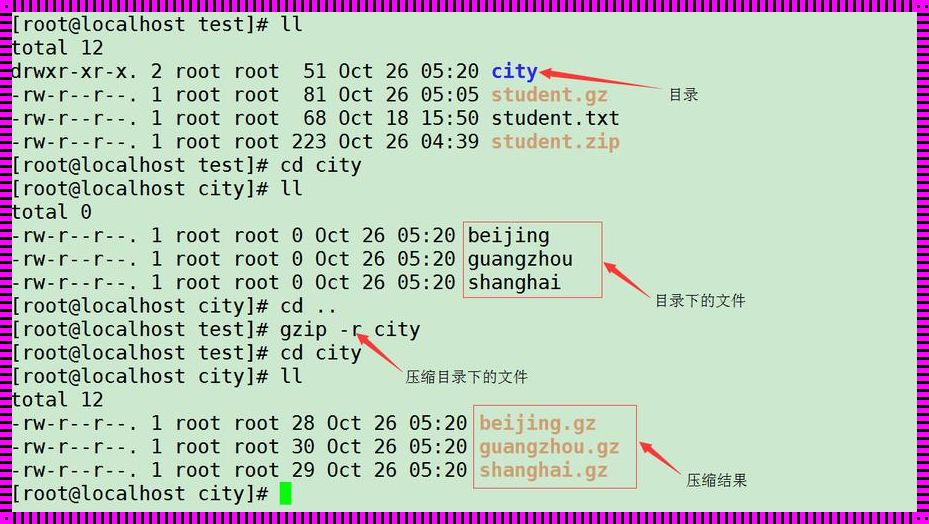 Linux 解压 rar 包命令探秘：实用技巧与深度解析