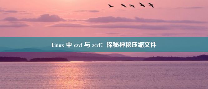 Linux 中 czvf 与 zcvf：探秘神秘压缩文件