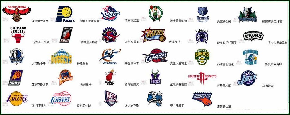 NBA 球队人气排行榜：粉丝心中的宠儿