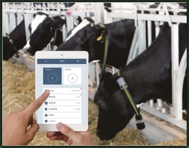 奶牛导航 app 辽宁教育网：科技与自然的冲突