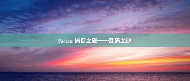 Packets 捕捉之旅——乱码之谜